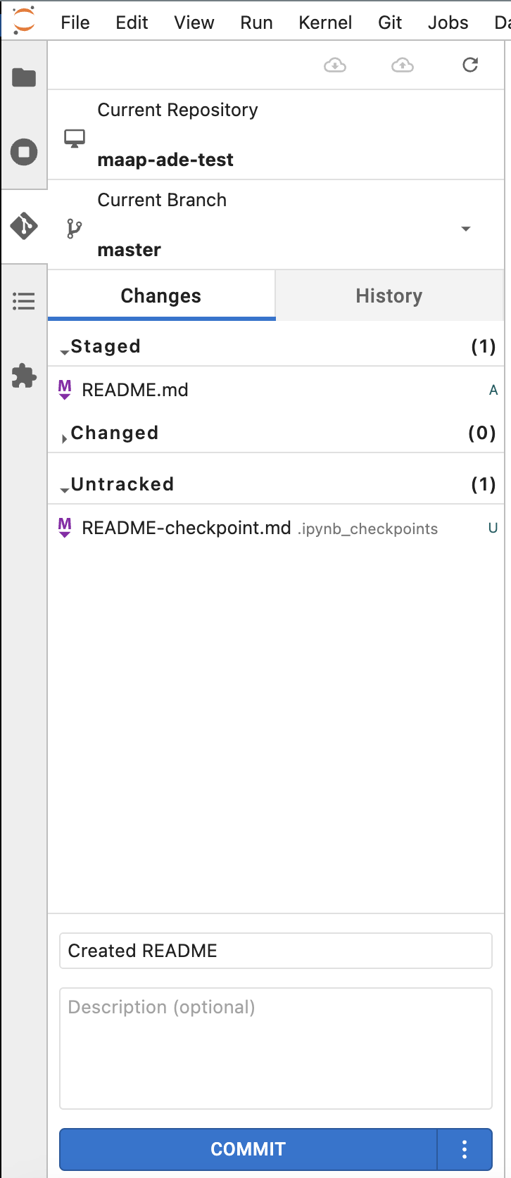 update project commit