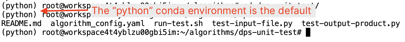 Python environment is the default