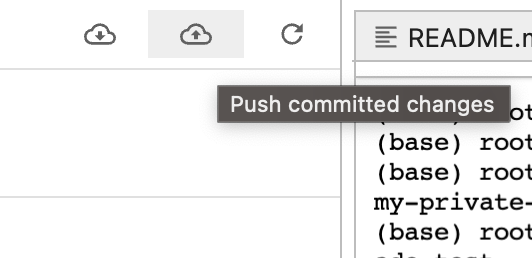 update project push